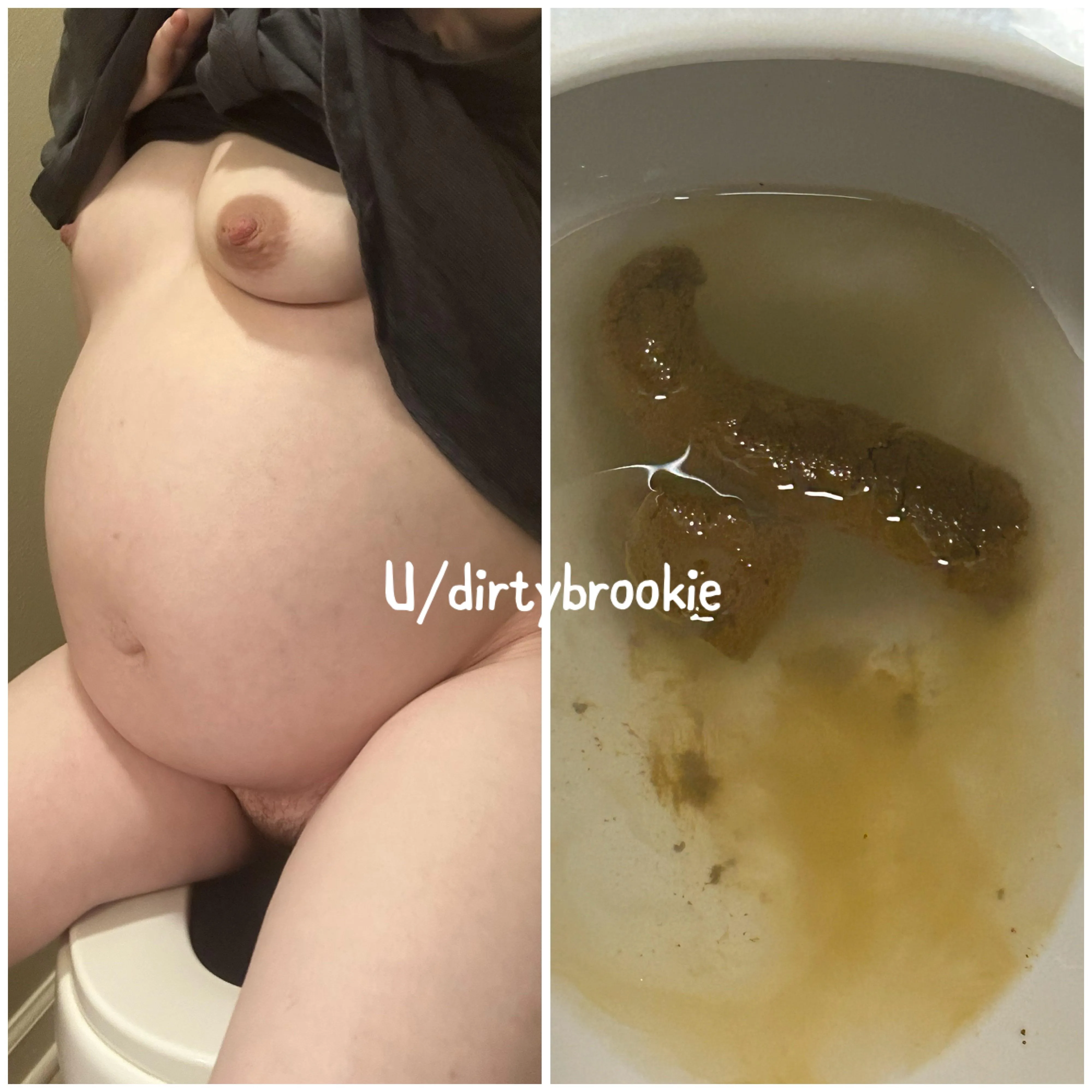 Rate my preggo poop 1-10.[F]