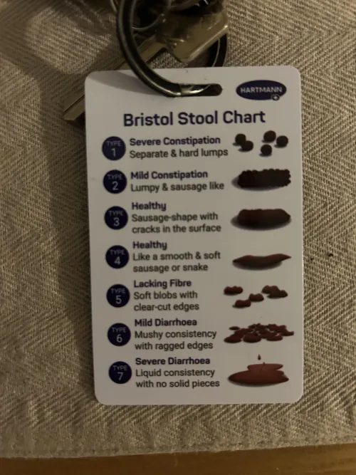 Bristol stool chart keychain 😊