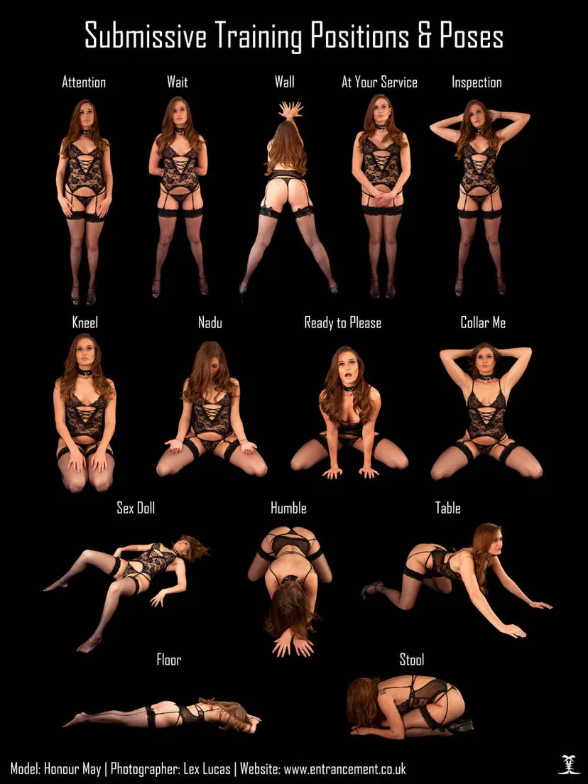 For interested submissive ladies in the audience, a beginner's guide (a quick training reminder)
