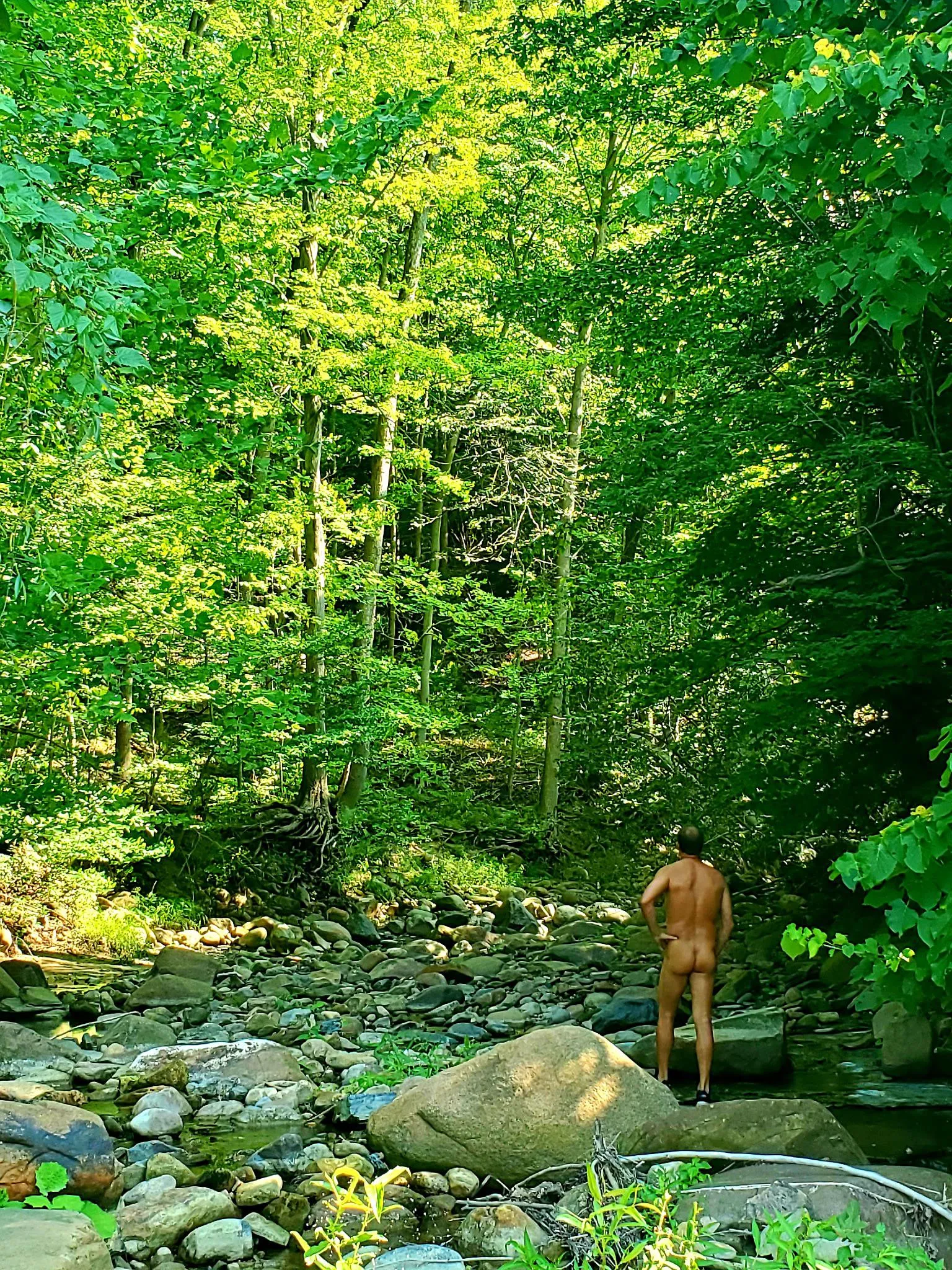 Just enjoying nature