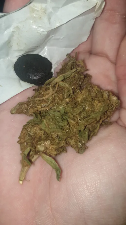 cotinha pra quebrar meu tbreak hehehe