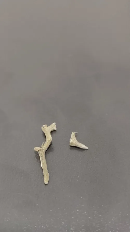 Essa é a pergunta mais idiota que eu vou fazer aqui... Esses galinhos que vem com a flor dá brisa ?