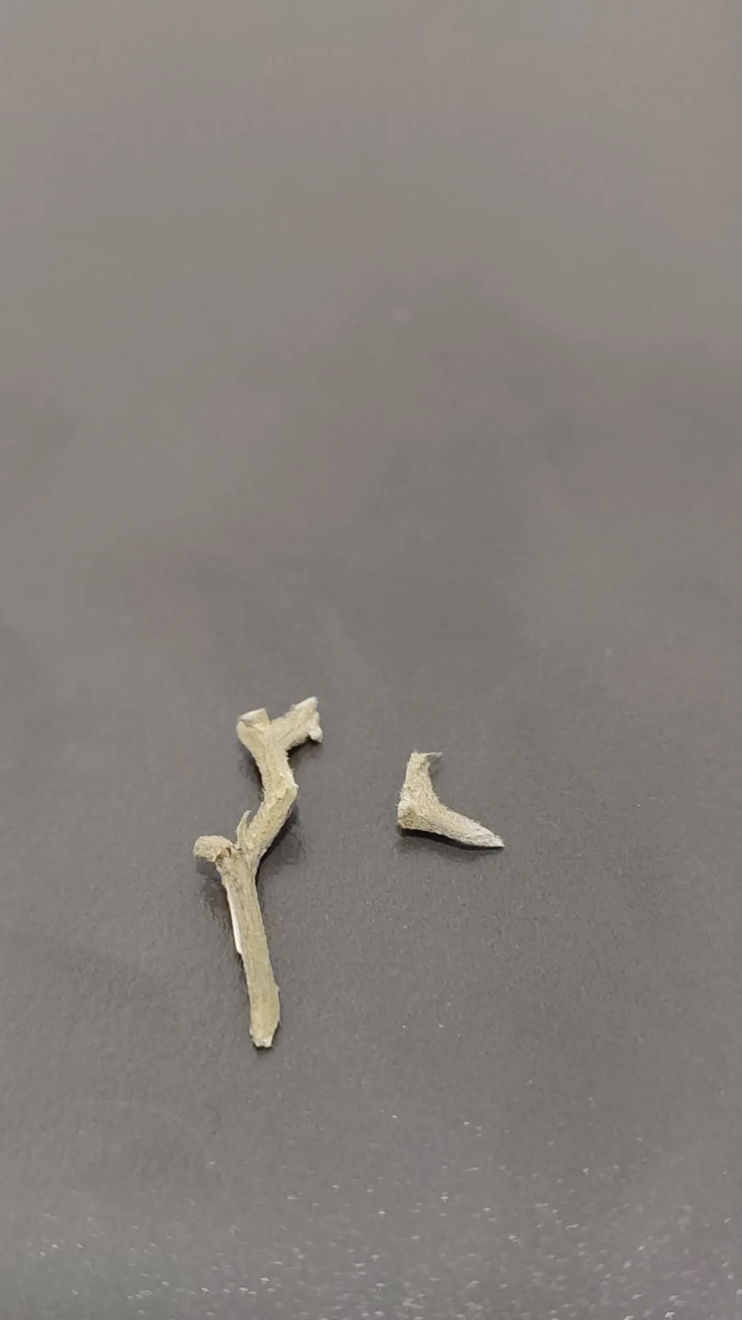 Essa é a pergunta mais idiota que eu vou fazer aqui... Esses galinhos que vem com a flor dá brisa ?