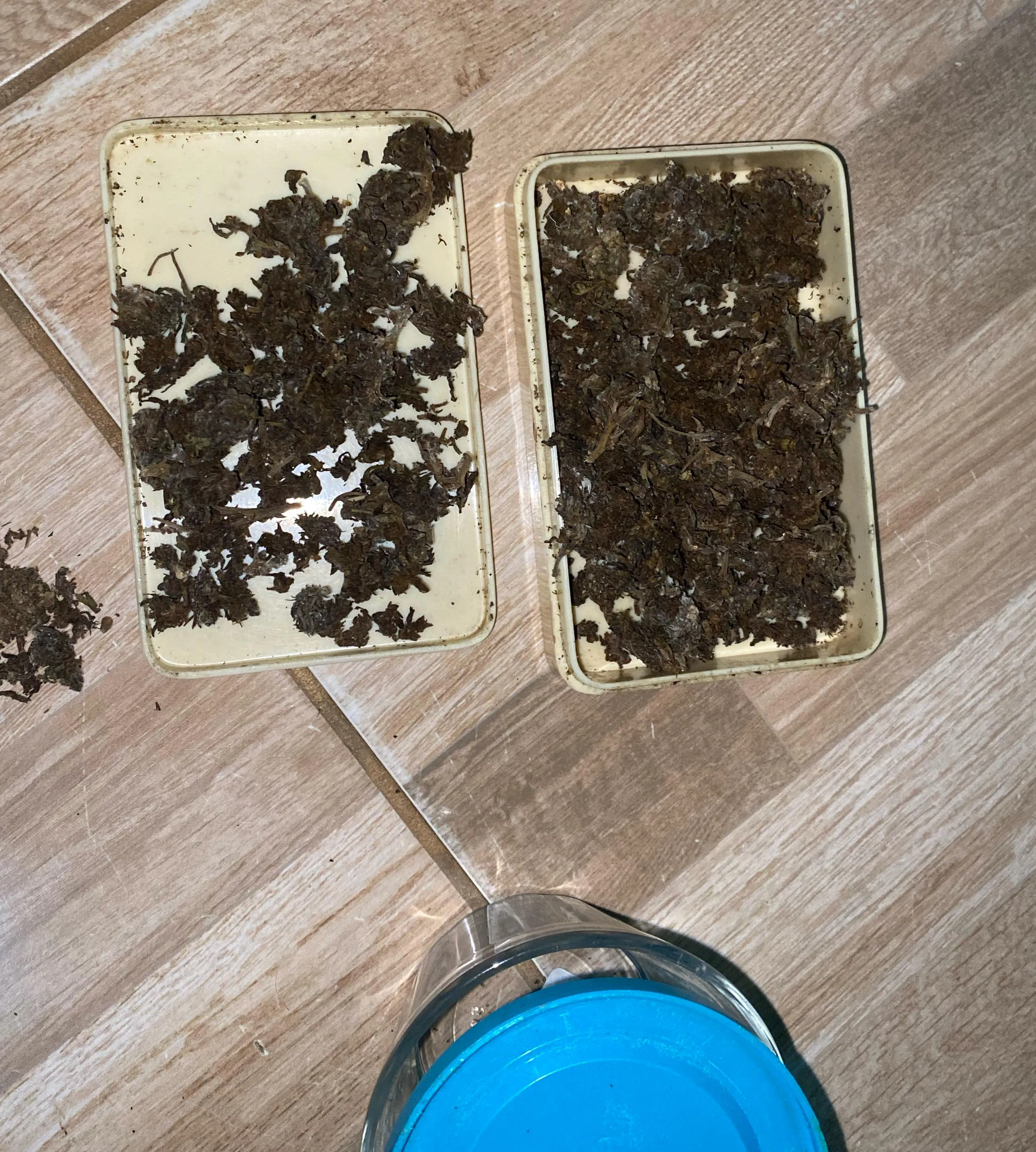 Maconha lavada e mofada