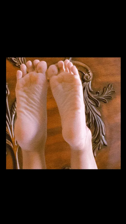 Who let the dogs out, west tx