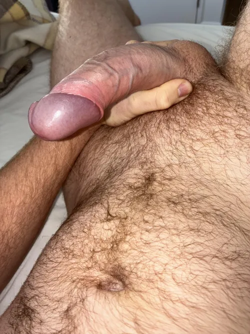 Hard and veiny
