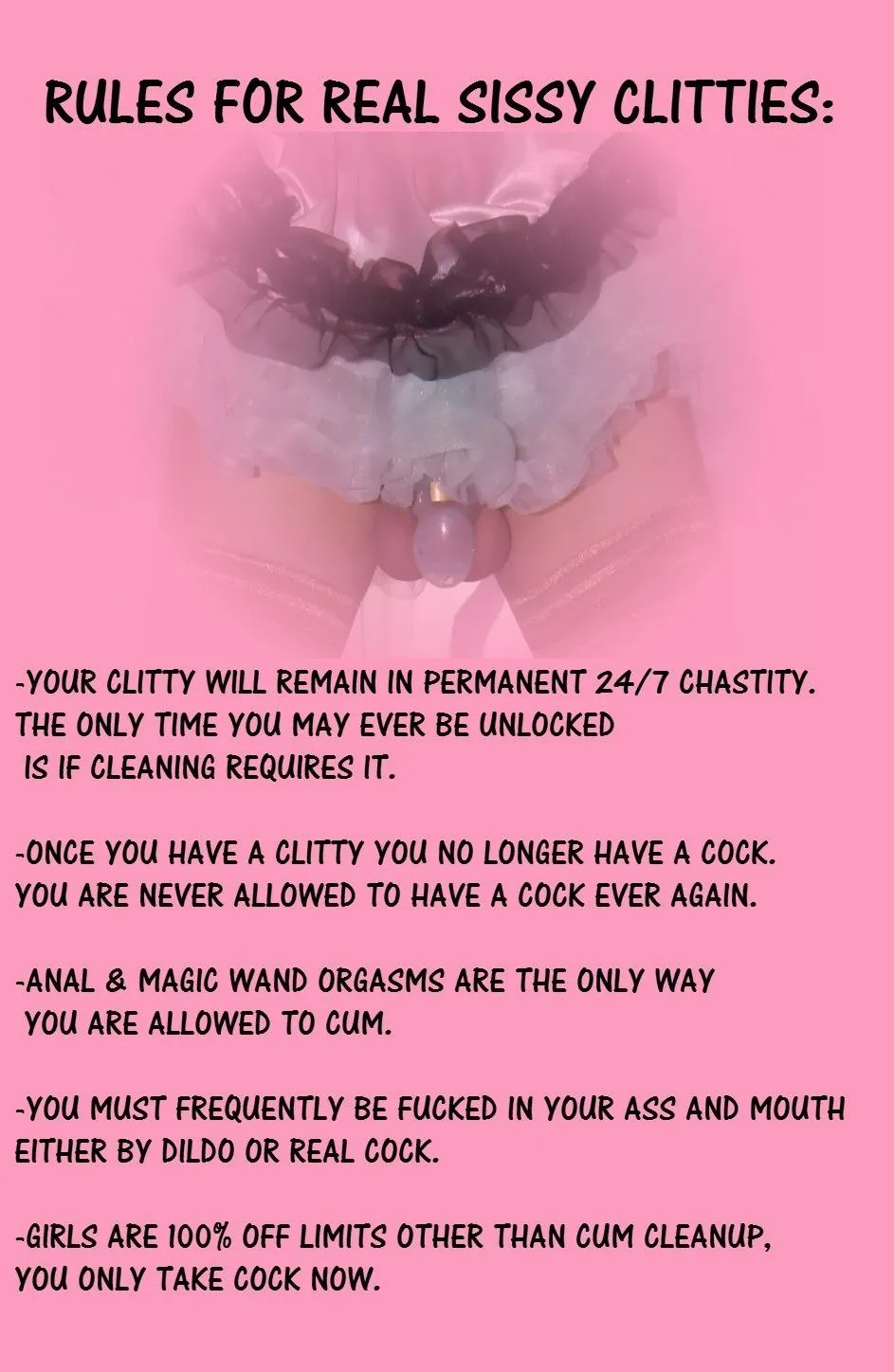 I accepted the rules