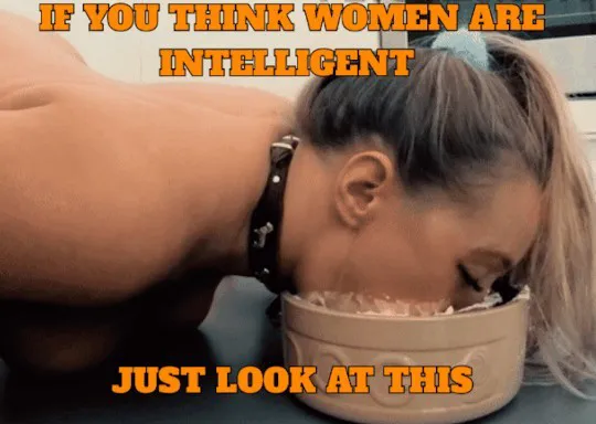 Intelligence? Nah I see none!