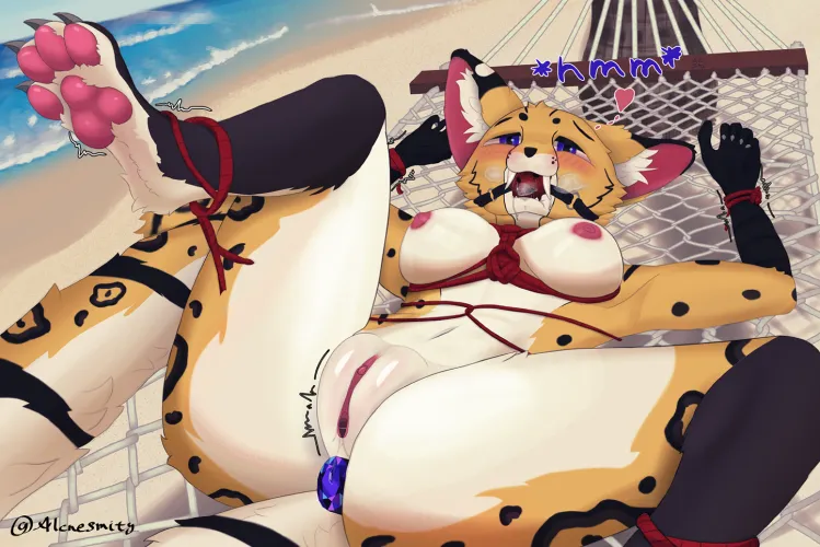 Kinky Beach (F) [AlcheSmity]