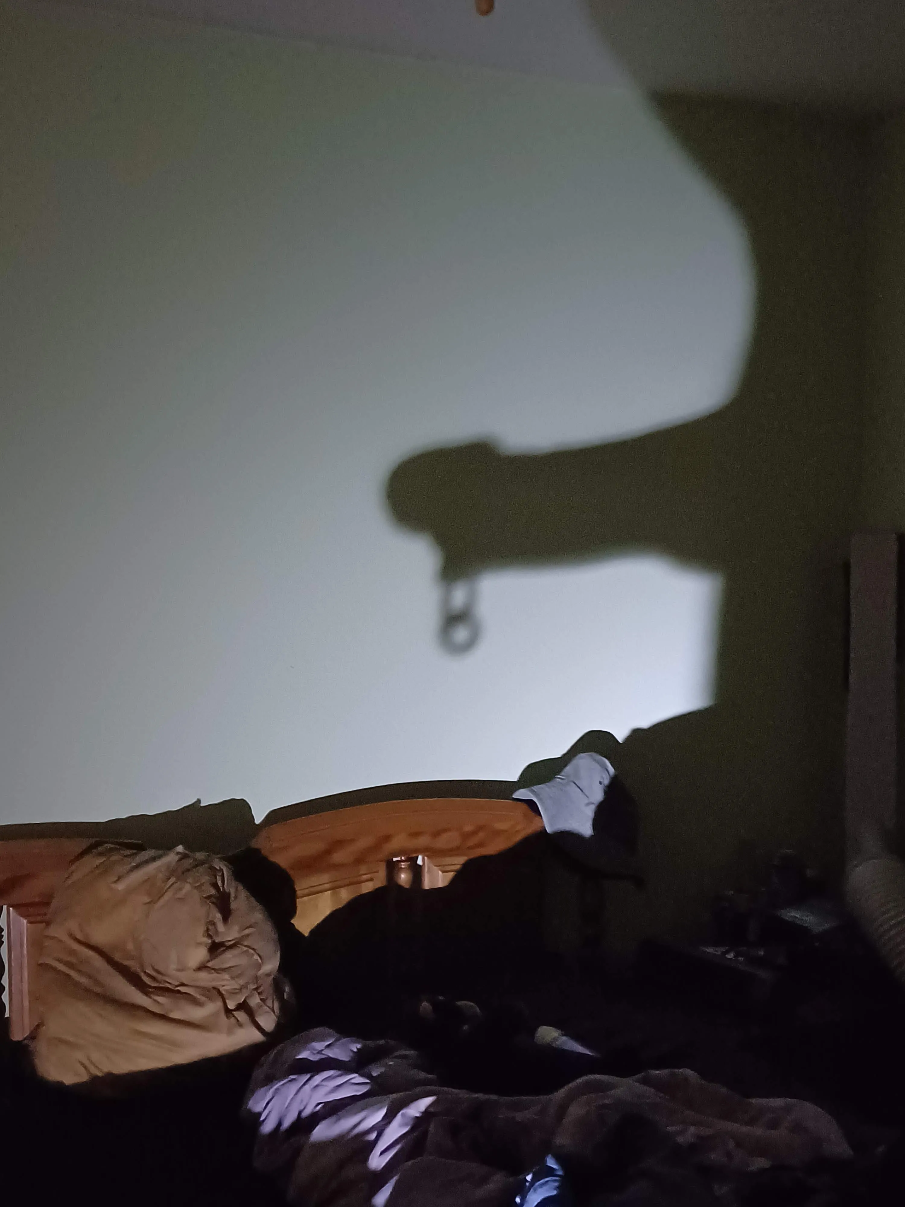 Shadow puppet