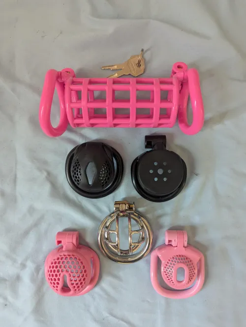 The 6 cages I bought this month