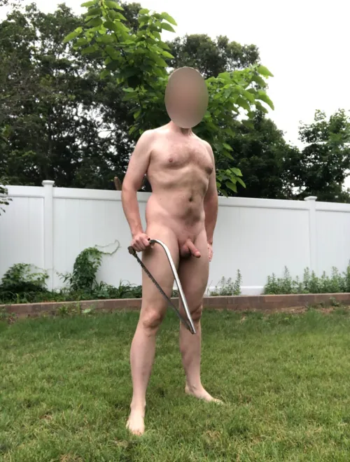 Up early doing tree trimming