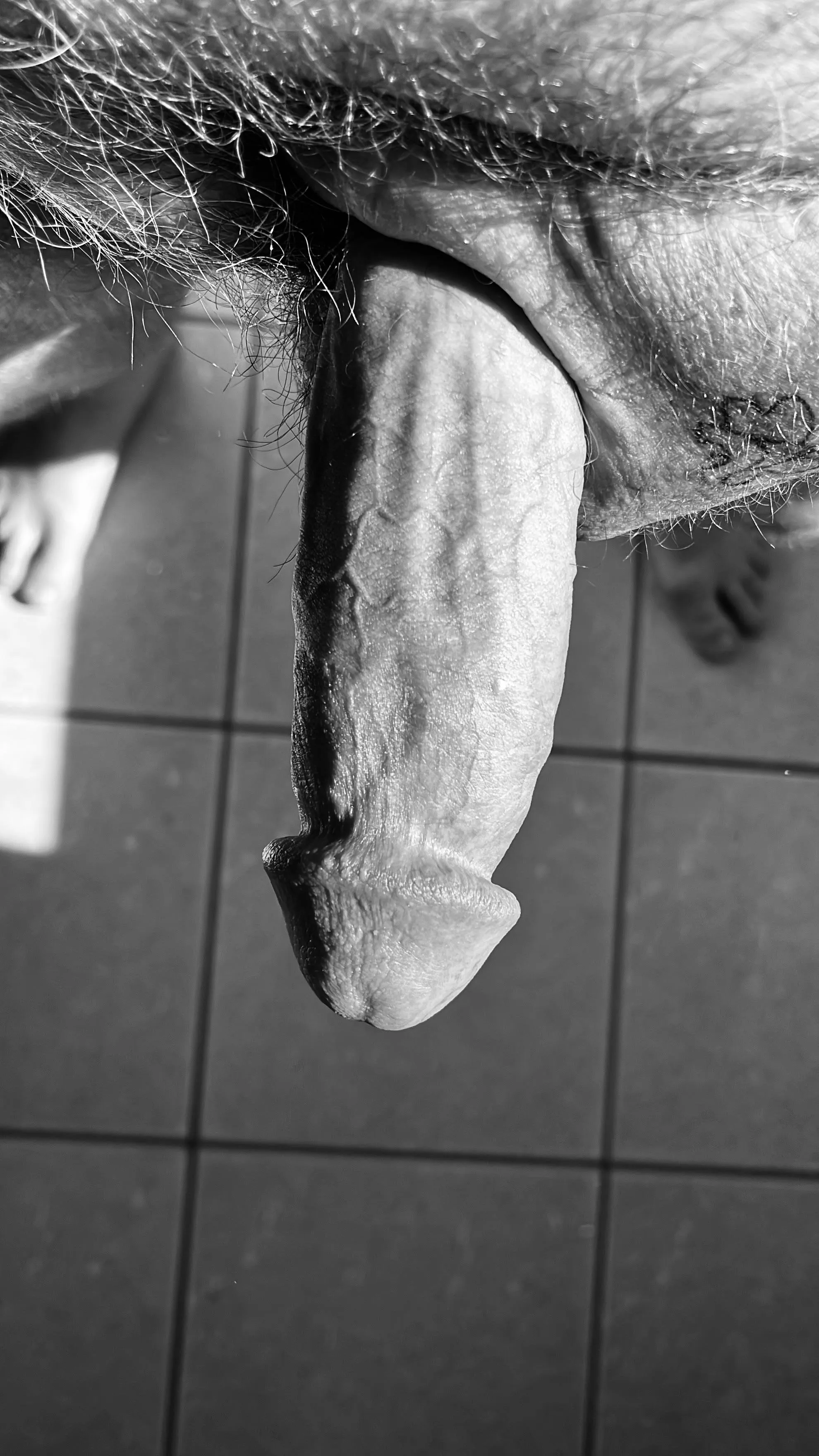 Black n white boner