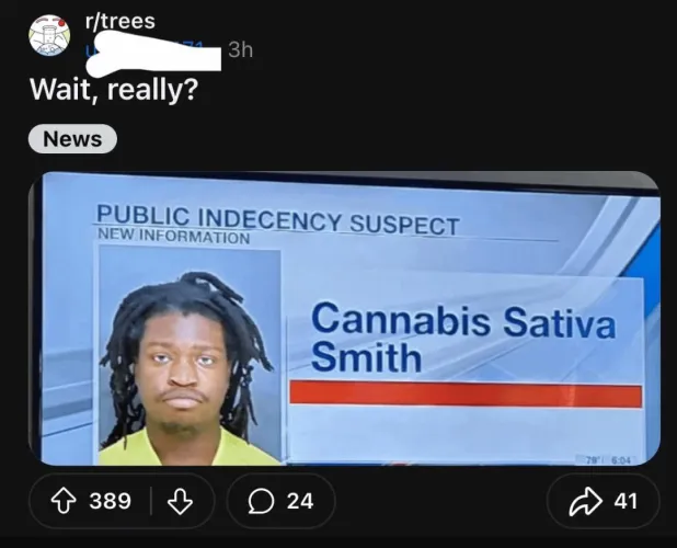 Hey Mr. Bernie Sanders…