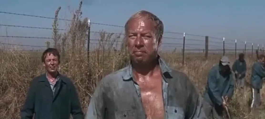 Jacking my penis here boss