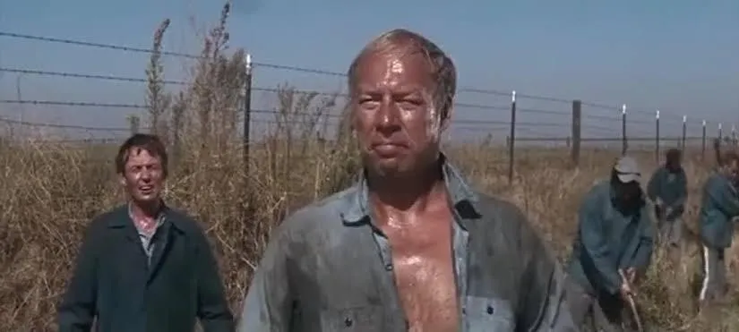 Jacking my penis here boss