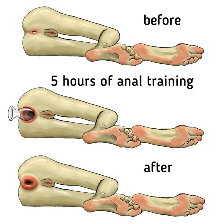 Im new at drawing assholes