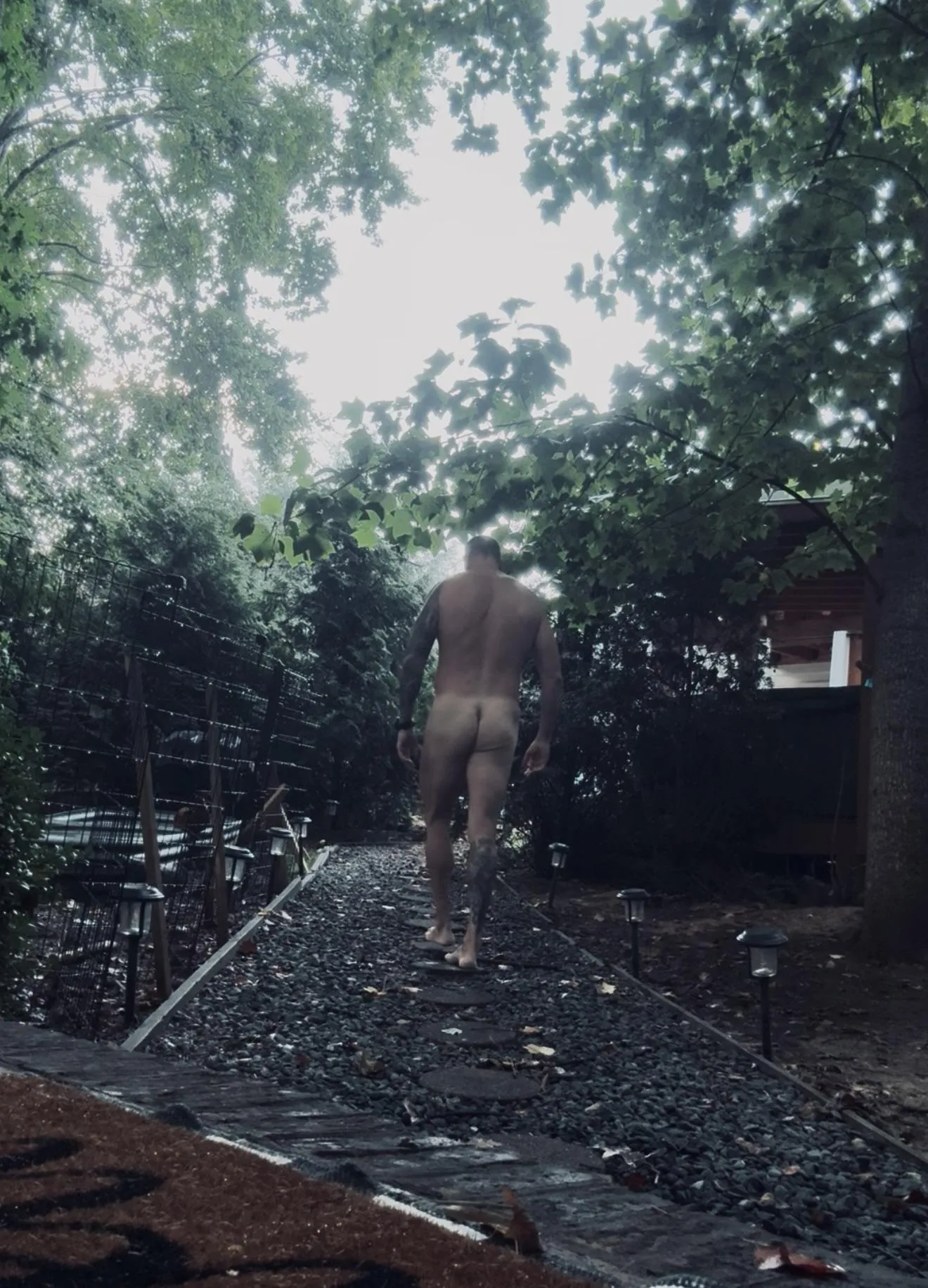 Checking on the animals