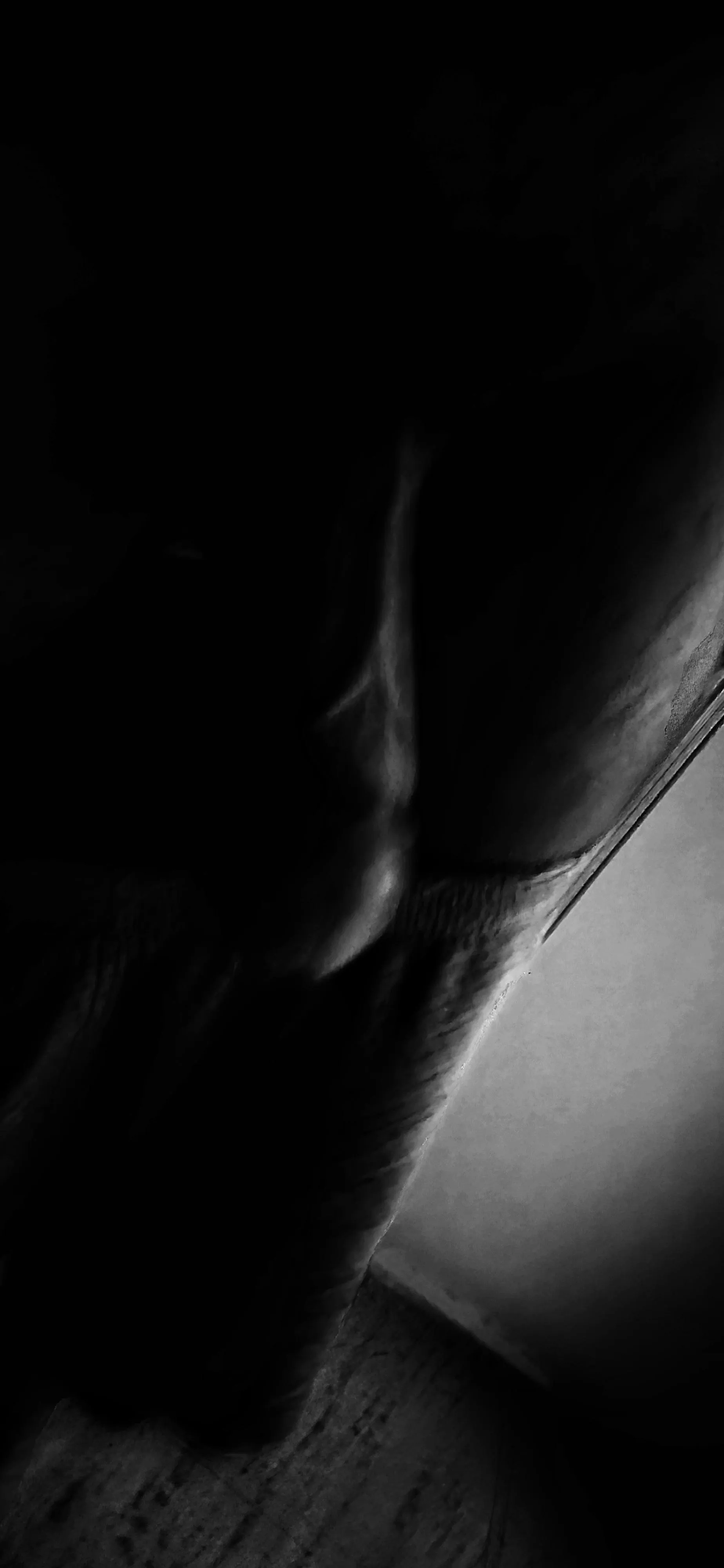 Her last view before she swallowed it.