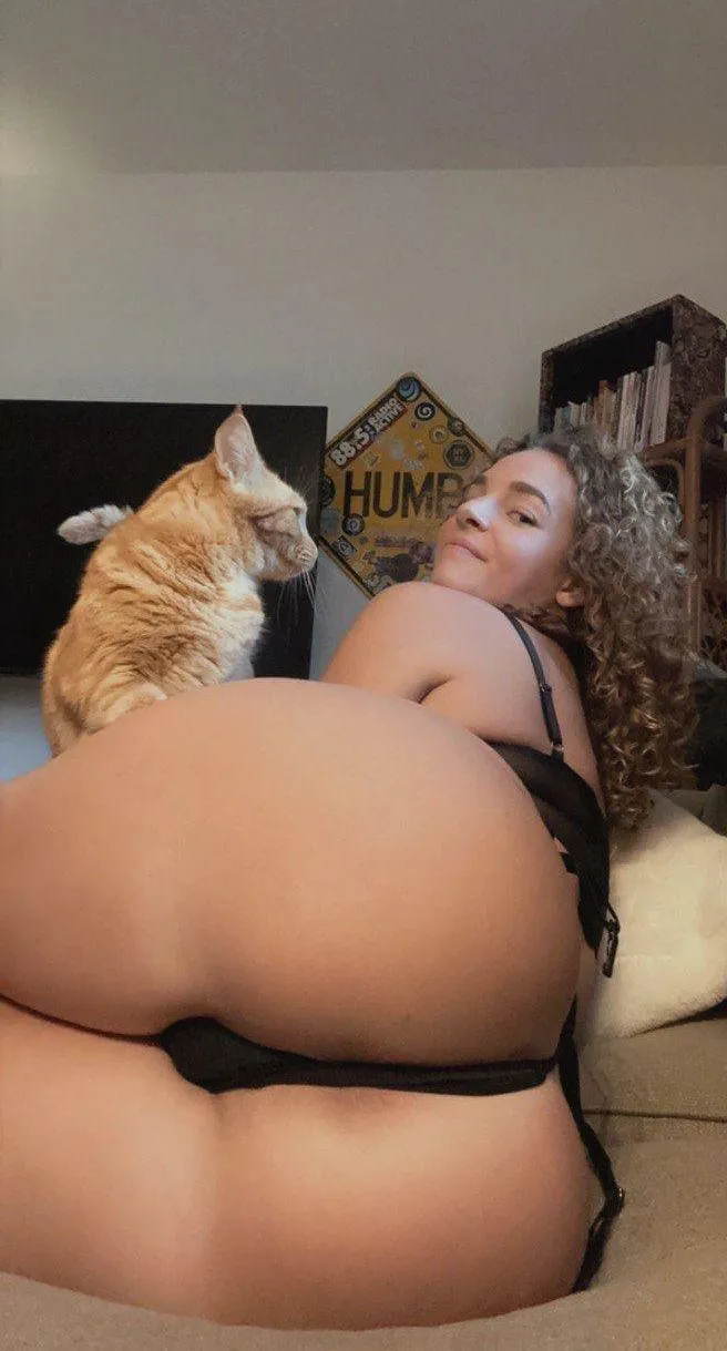 what is my cat thinking lol