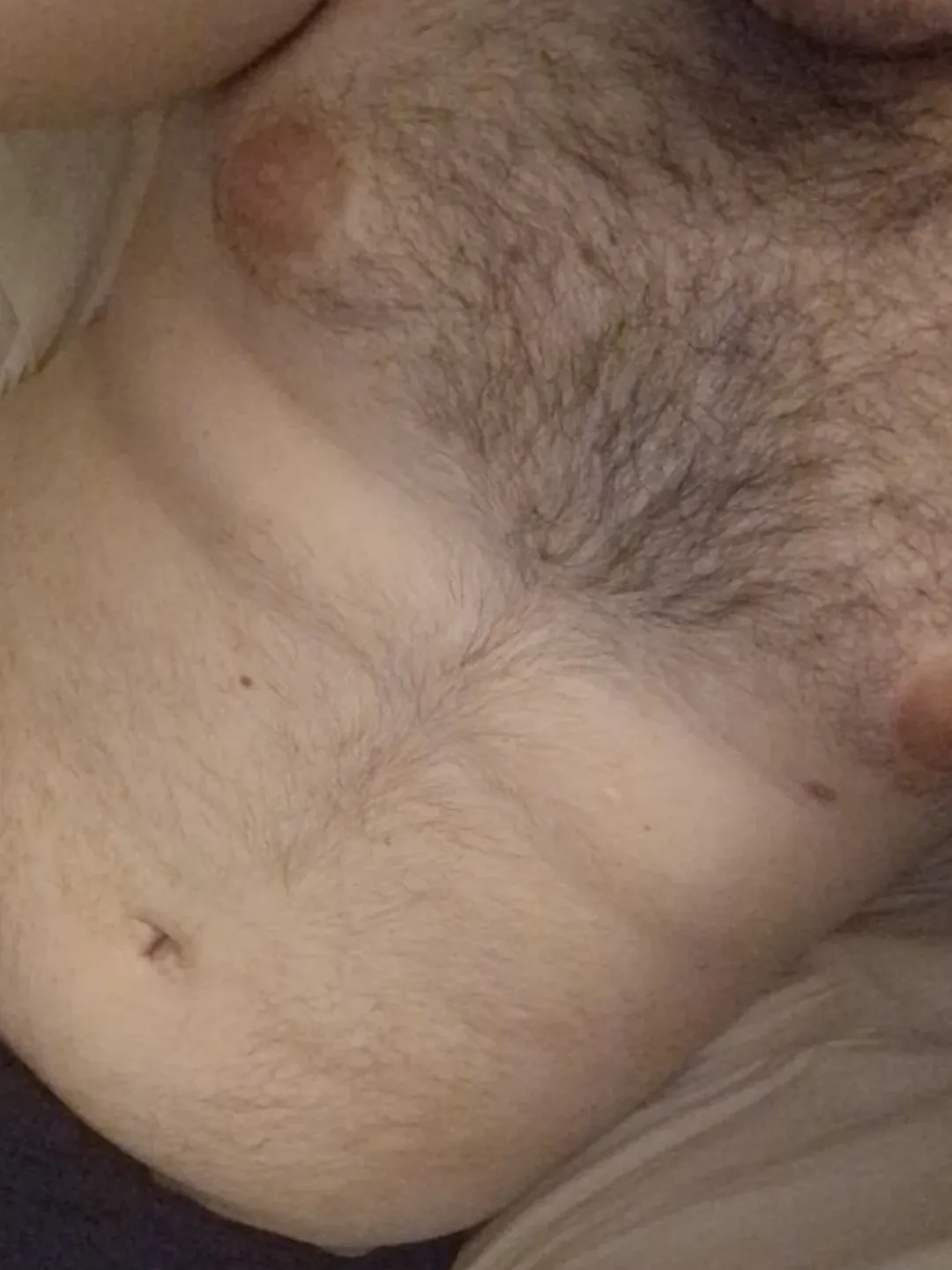 33yo bear from Italy, bored and looking for some slim/toned/muscular chasers to chat with | sc: vacatomadar