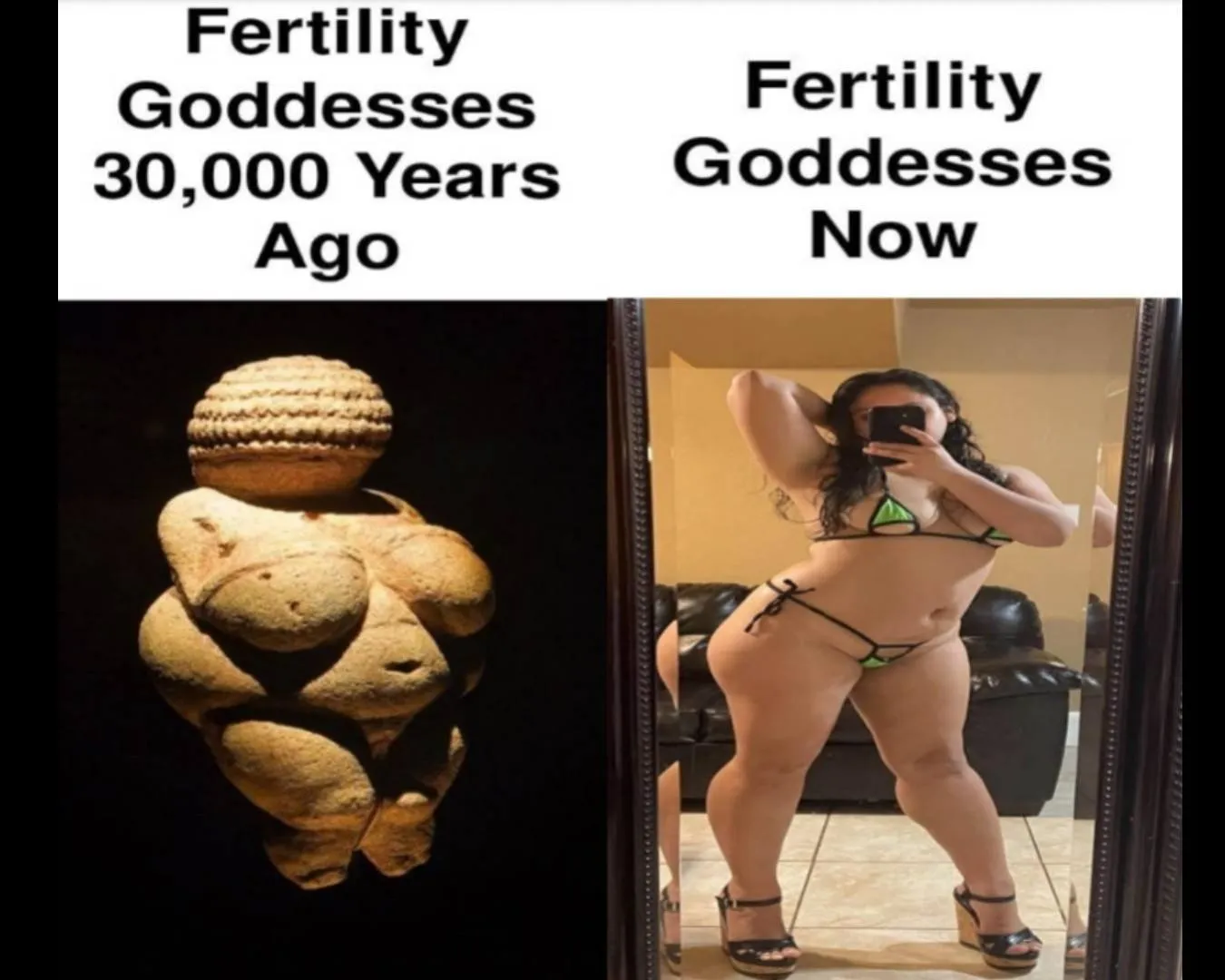 Meme I had for the lovey u/catgirltits