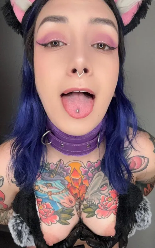 This kitty’s been purring for you… now come feed her right