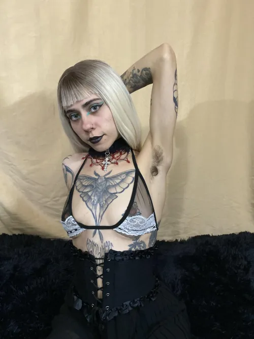 Come to smell them ;)