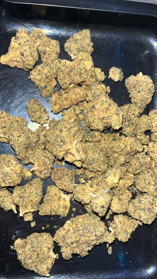 how this shit look ?