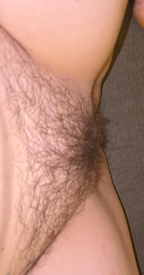 I love my bush so much. Can’t wait til it’s thicker