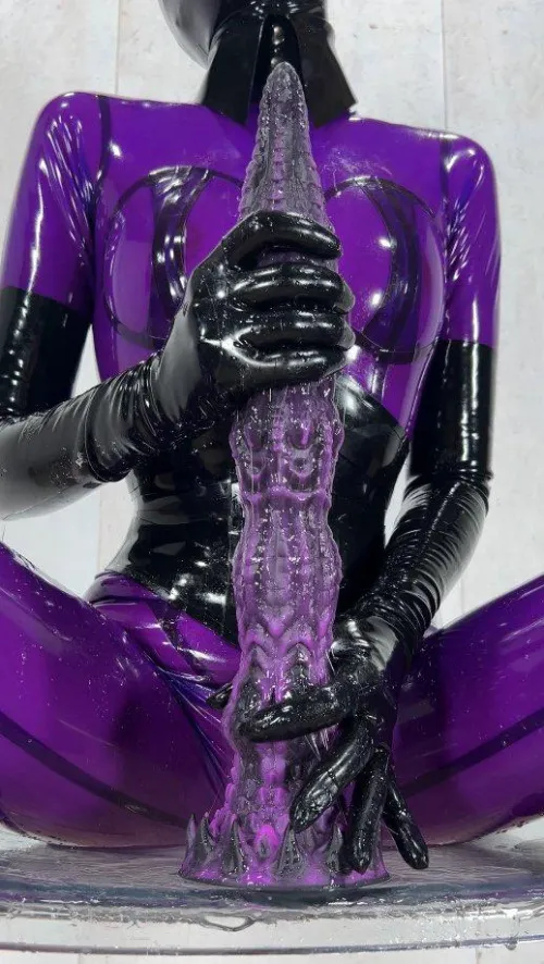 Meo's Ridg fit my theme today. What's your theme today?