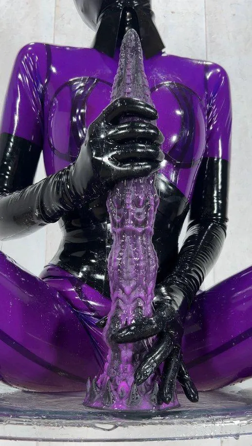 Meo's Ridg fit my theme today. What's your theme today?