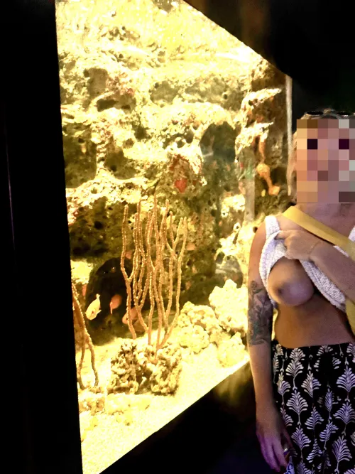 Poppin a titty in the aquarium