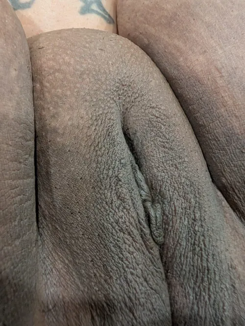 Pussy meat