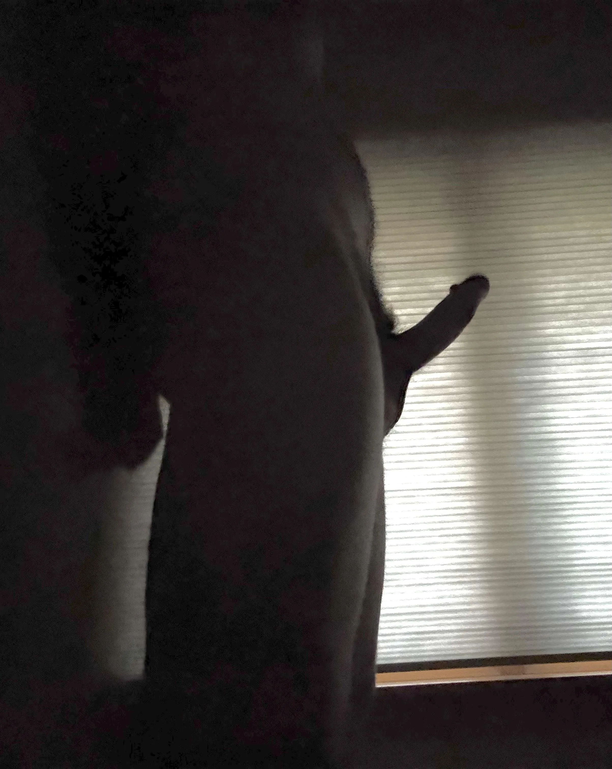 Tried to get artsy with silhouettes here…let me know if it landed