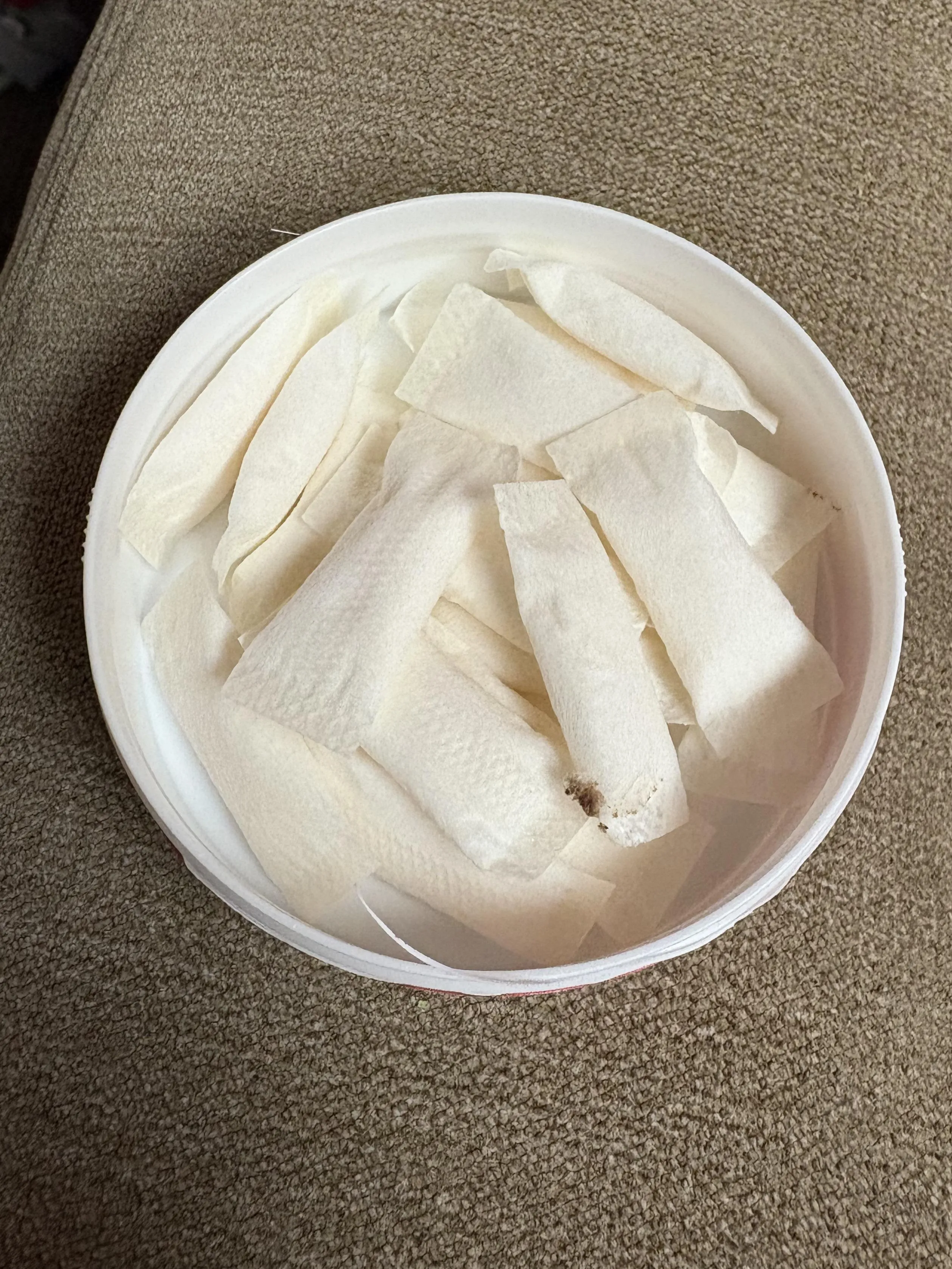 Just opened a freshy. Whats on this one?