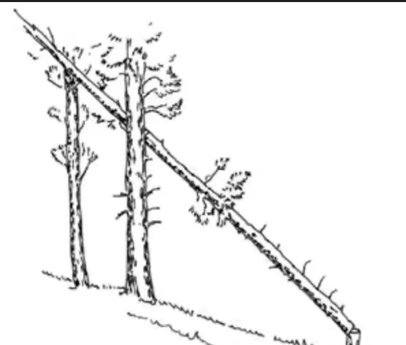 Let the most dangerous game begin