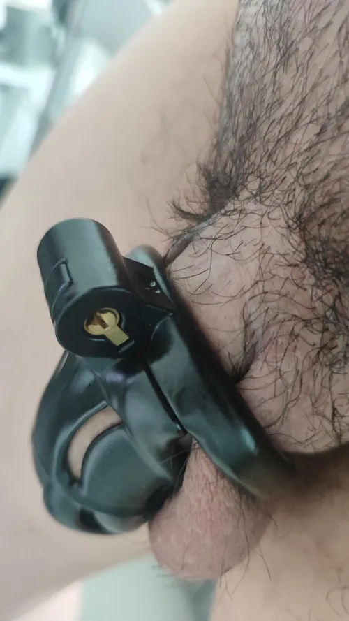 New to this. The cage will be pushed up when getting boner. Does this mean the ring size is too big? Using ring size 2 Viper N+