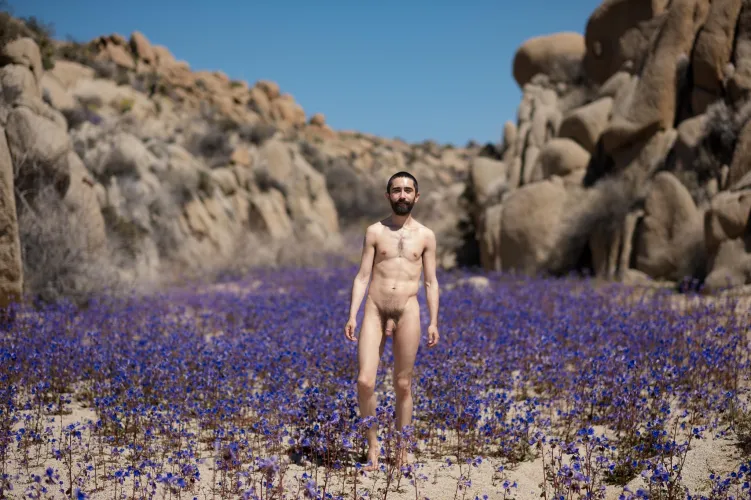 Camping in Joshua Tree last year