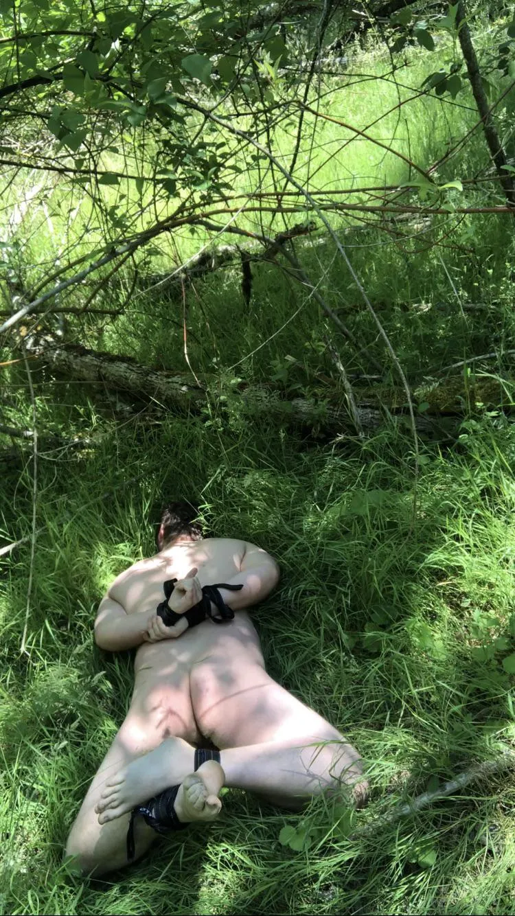 Hogtied in the woods
