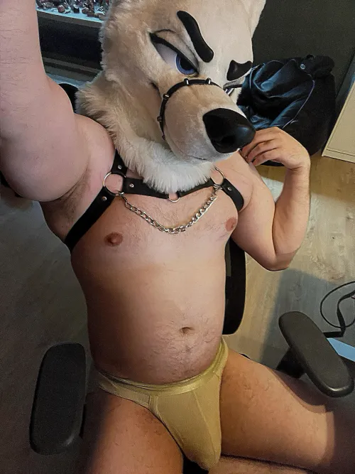 I know good place for you, between my legs ;3