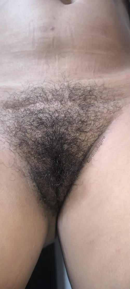 Should I cut it or let it grow?