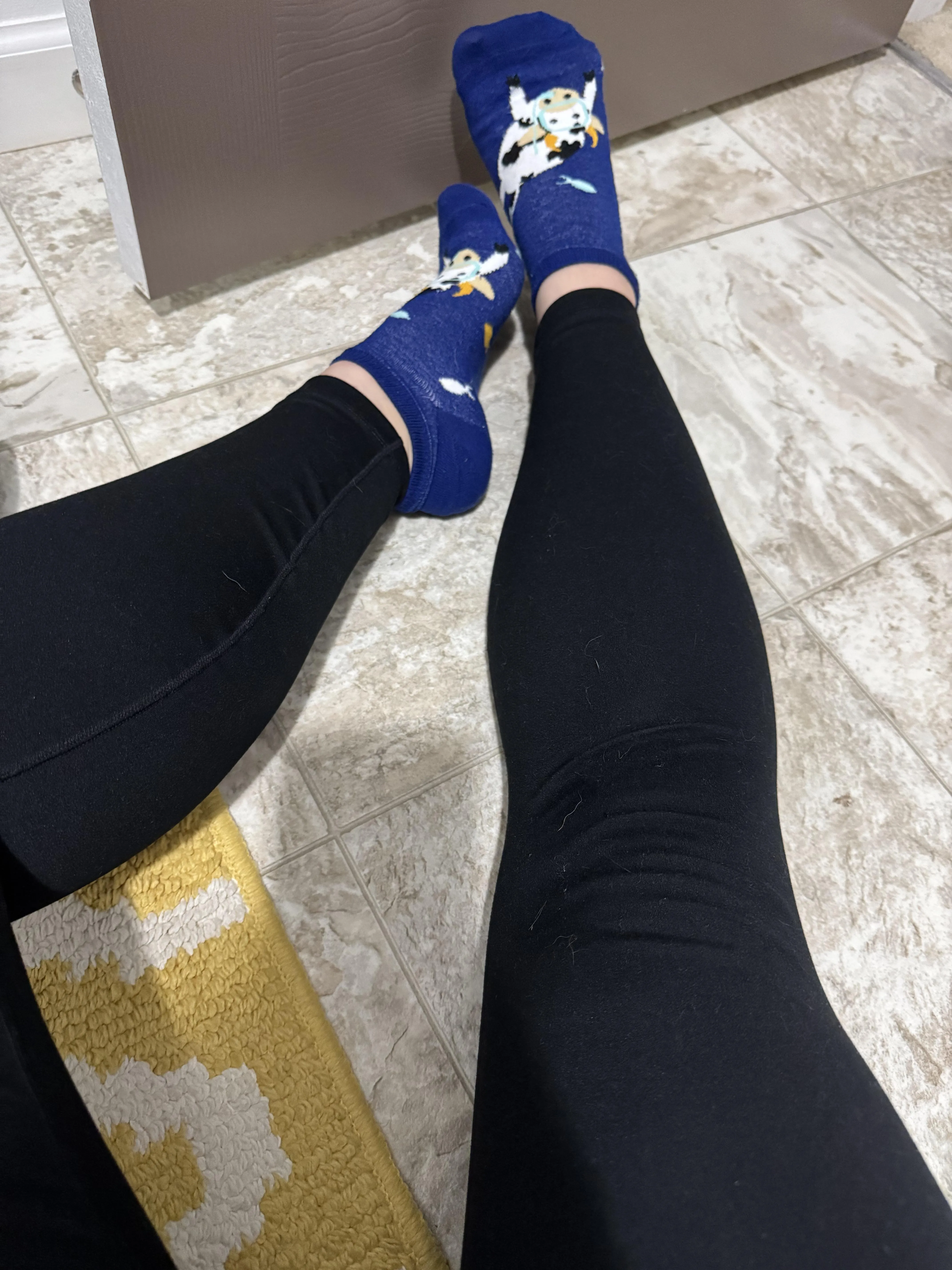 SOTD - Snorkling Cows! 🐮