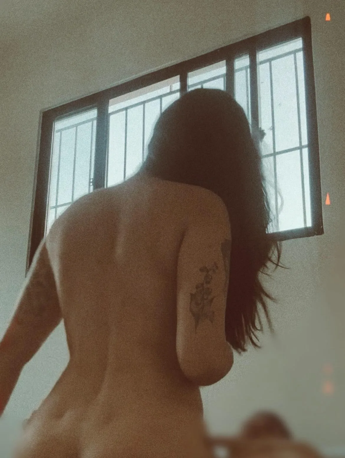 vamos animar o domingo?