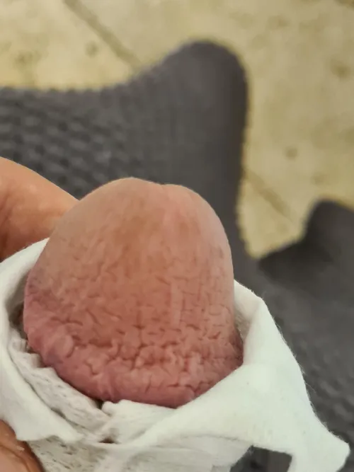 What is this and is it dangerous ?