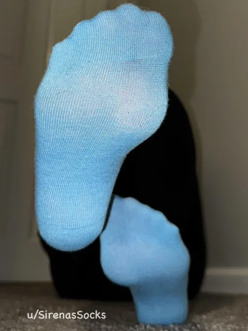 Would ya look at that!!😍 A beautiful blank canvas for me to paint with my paw prints! Don’t miiind if I dooooo...🎨😌👣💙