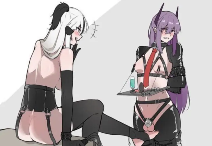 Brought all necessary toys