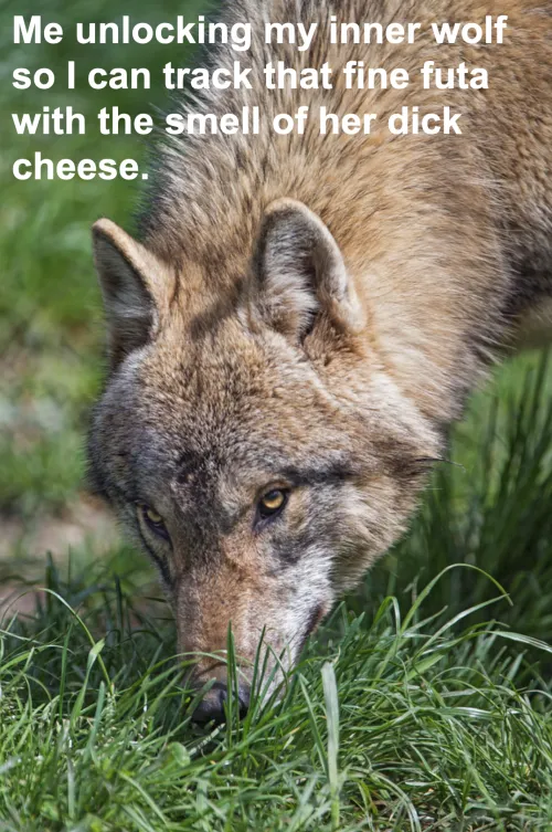 People call me the cheese sniffer