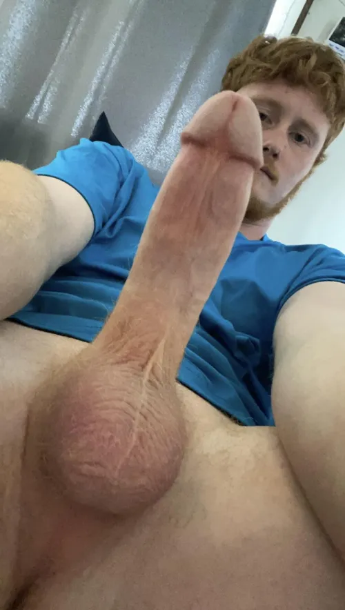 A cut ginger cock to take a sit on?🤤