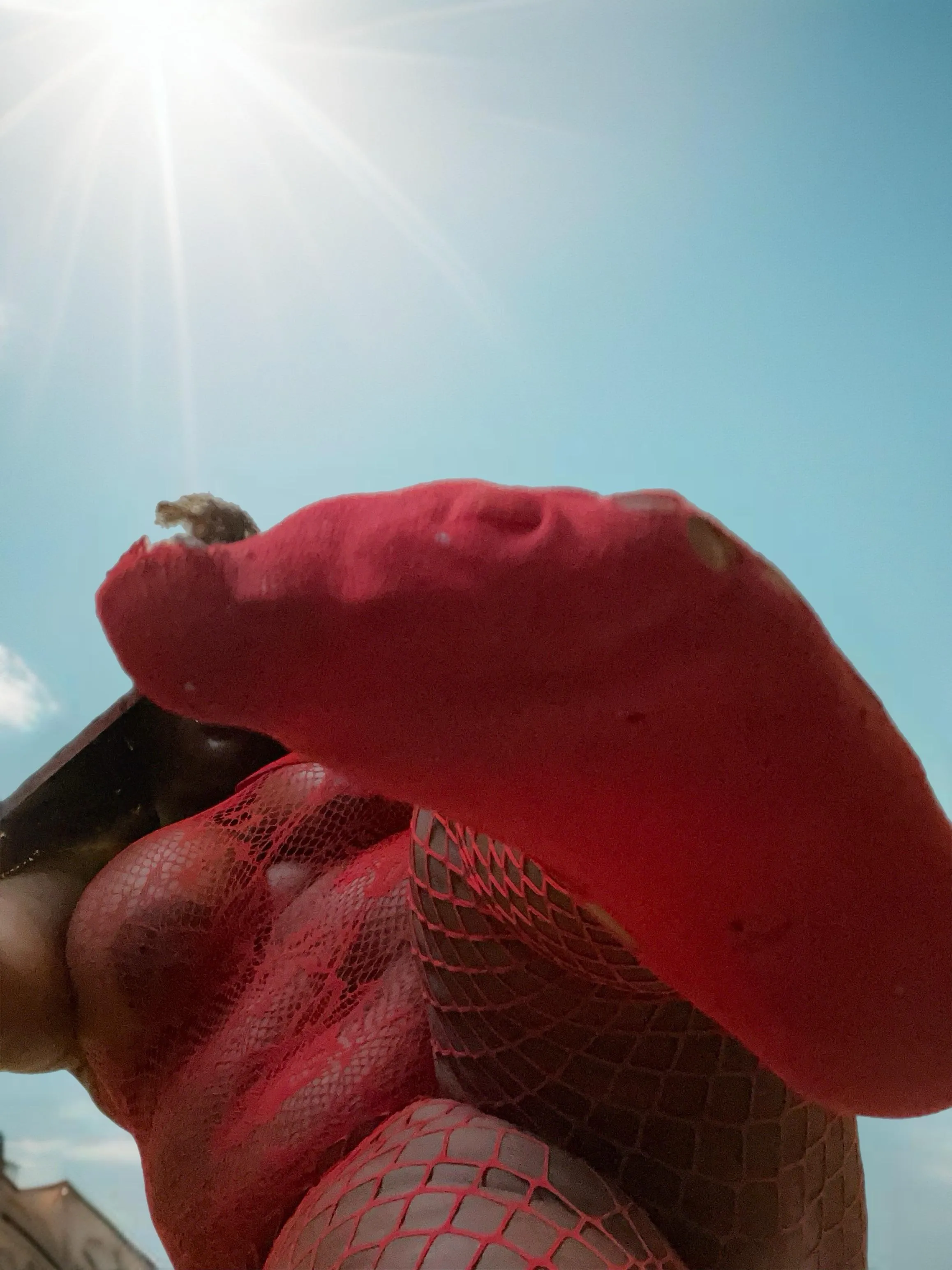 I love seeing my huge shadow cover you...